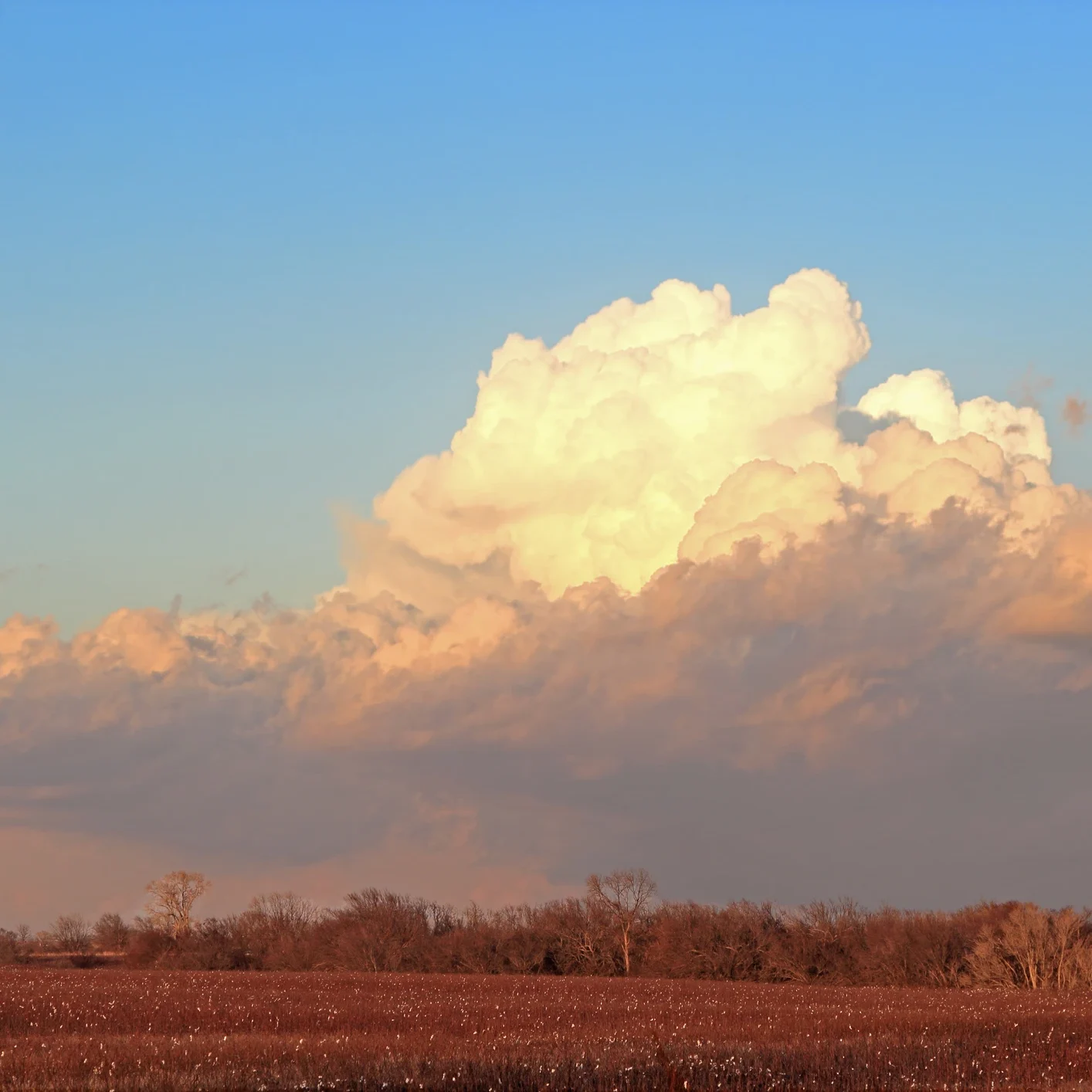 Puffy clouds in blue sky